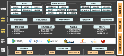 基于大数据和AI的专病智能辅助诊疗系统的数据处理服务分析